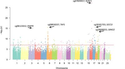 Epigenome-Wide Association Study of Soluble Tumor Necrosis Factor Receptor 2 Levels in the Framingham Heart Study